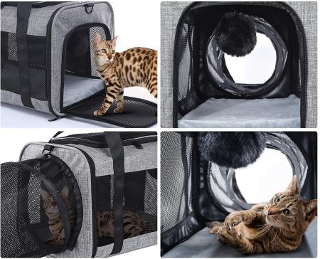 Pet Carrier with Expandable