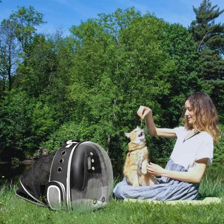 Dual Expandable Pet Carrier