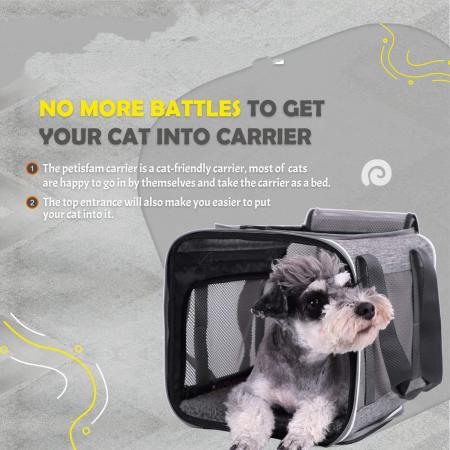 Carrier Especially for Sensitive Cats