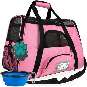 Pet Travel Carrier