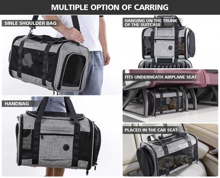 Pet Carrier with Expandable