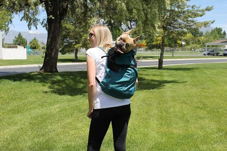 Backpack for Small and Medium Pets