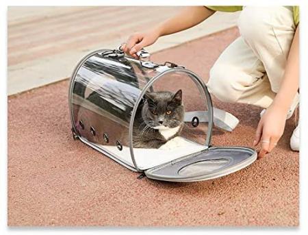 Cat Dog Bubble Backpack