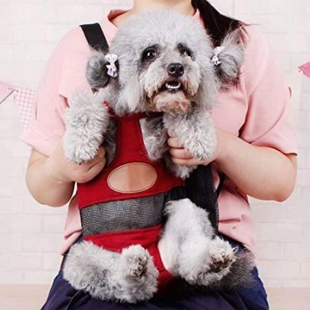  Pet Dog Carrier Hands