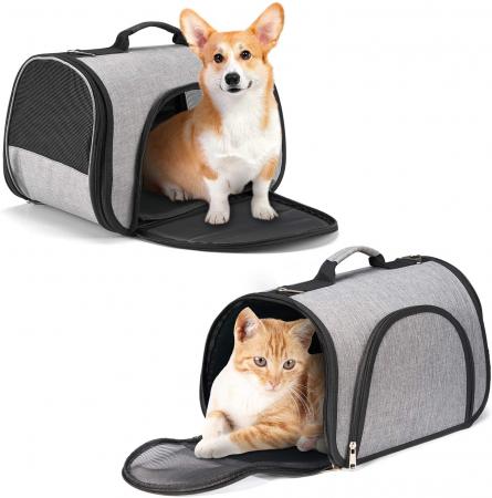 Pet Travel Carrier