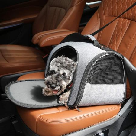 Pet Travel Carrier