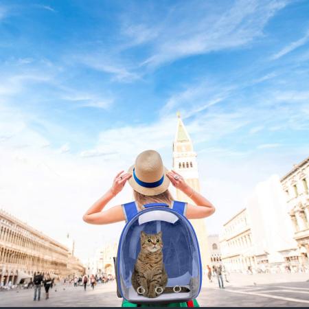 Cat Backpack