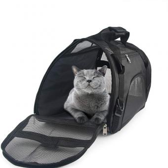 Dogs Kittens carrier