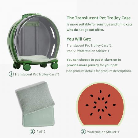 Pet Carrier