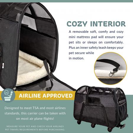 Carrier for Small Pets