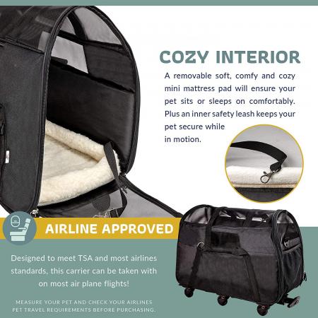 Carrier for Small Pets