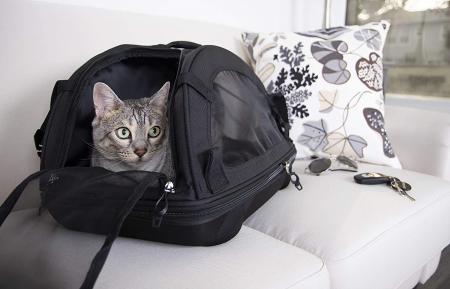 Airline Approved pet carrier