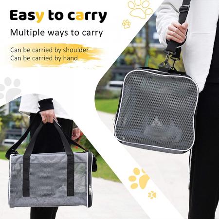 Cat Carrier