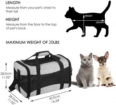 Pet Carriers Airline Approved