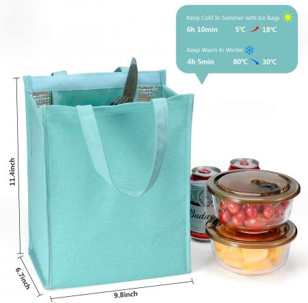 Lunch Tote Bag