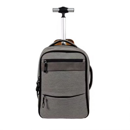 Business Travel Backpack