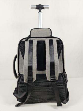 Business Travel Backpack