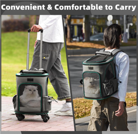 Pet Bag